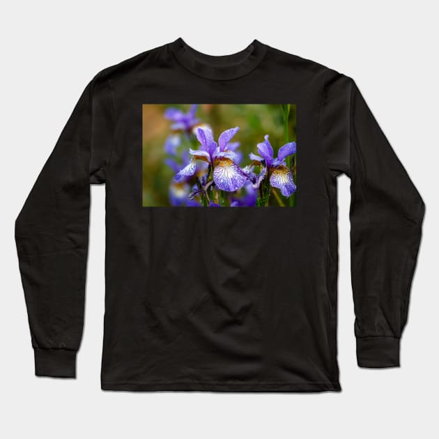 Blue Siberian irises Long Sleeve T-Shirt by blossomcophoto